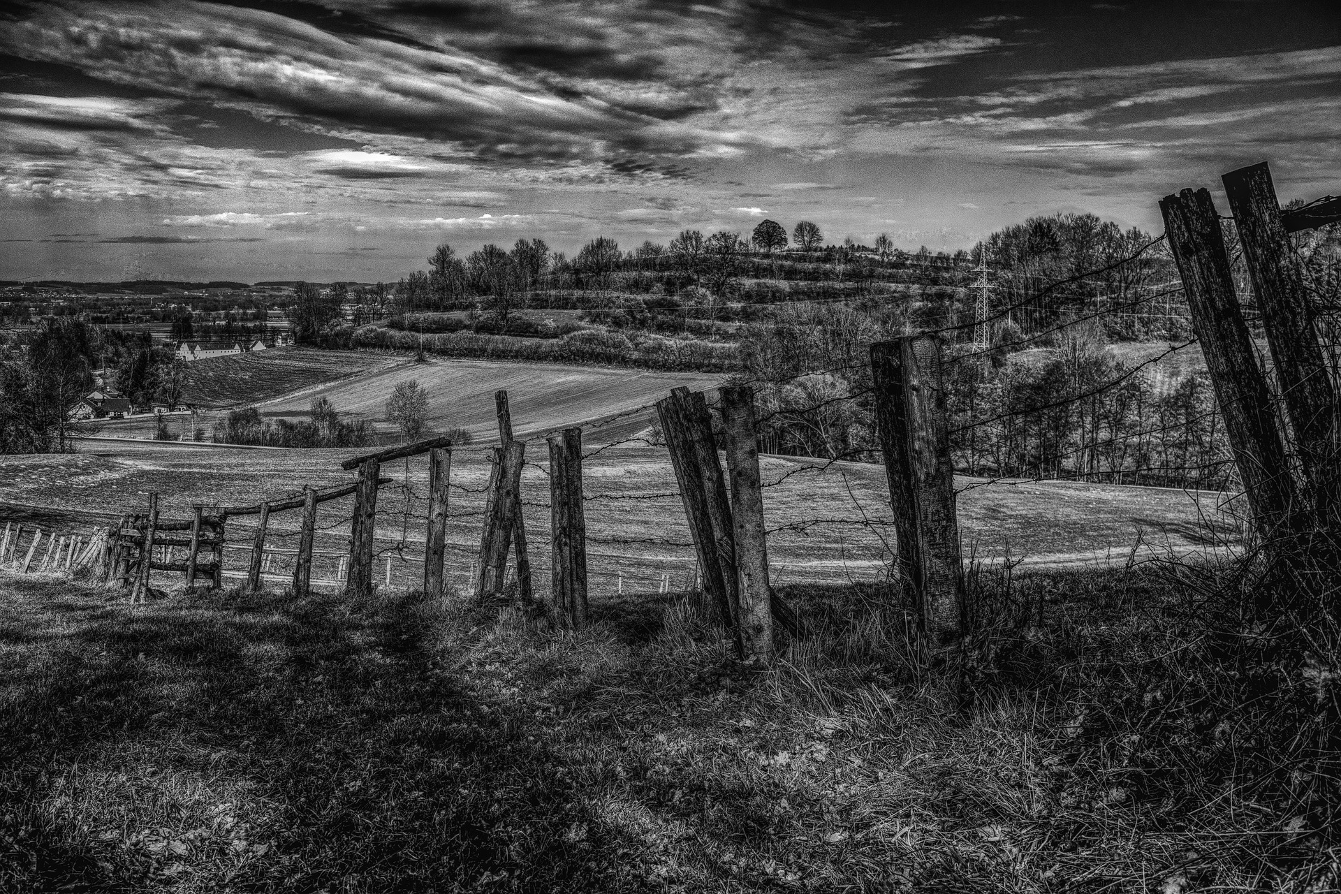 Rilanciare l’agricoltura