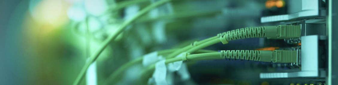 Dentro e fuori la rete