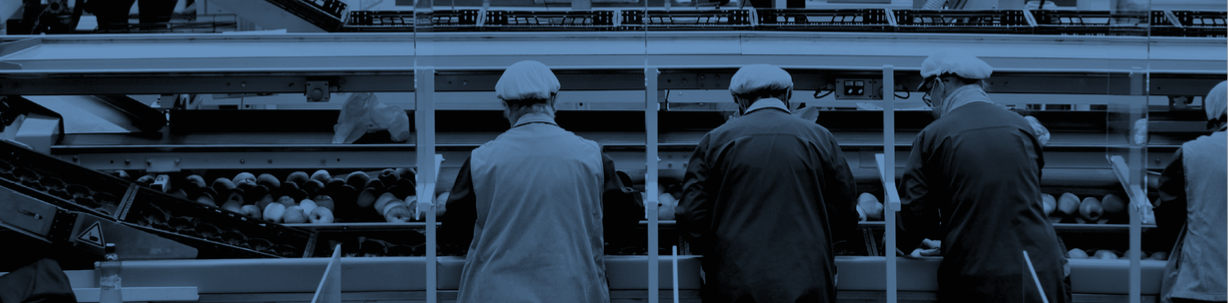 Democratizzare il lavoro