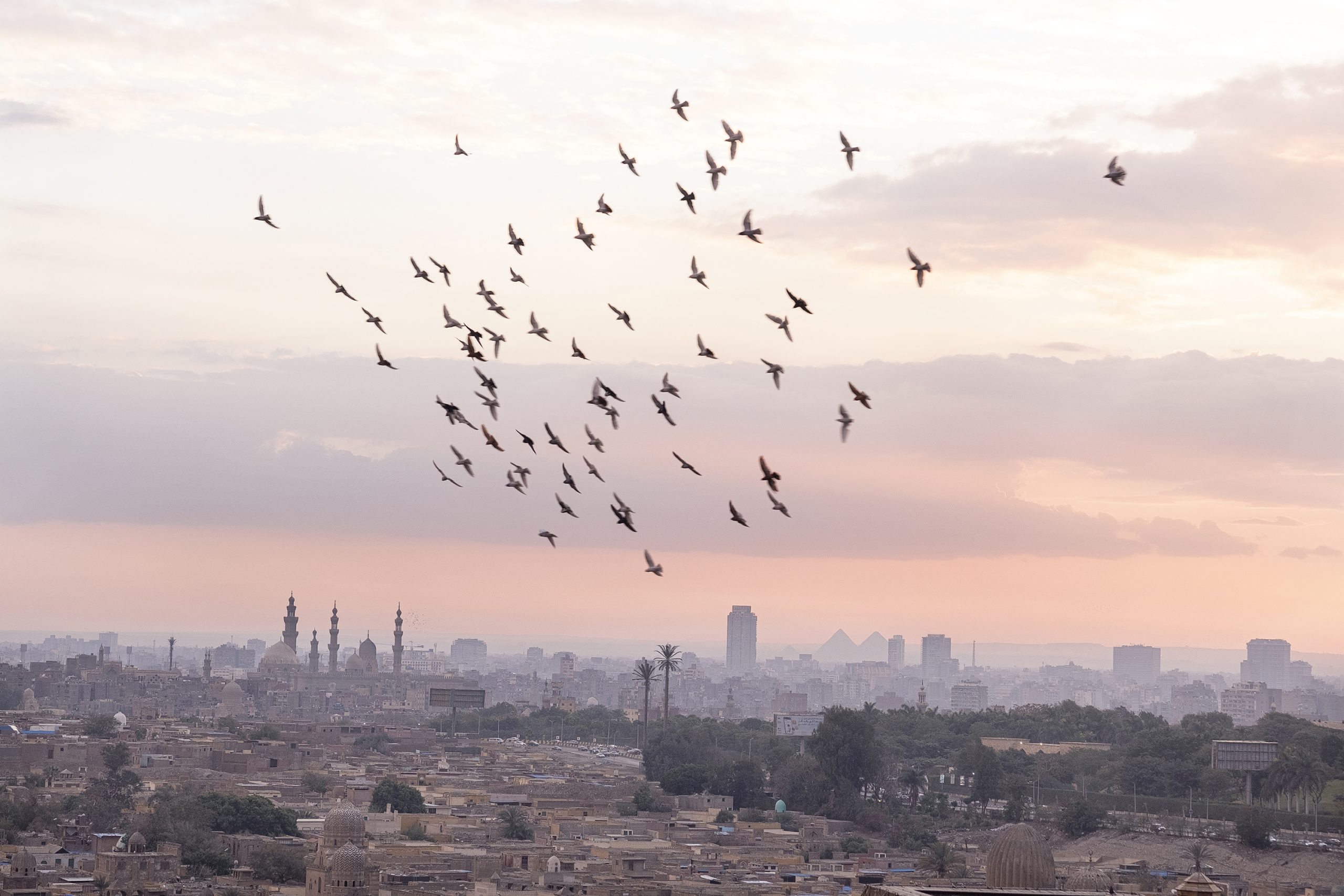 Generazione Cairo