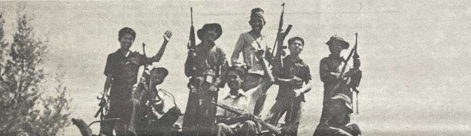 Cinquanta e dimostrarli: la guerra in Vietnam, chi ha vinto, chi ha perso