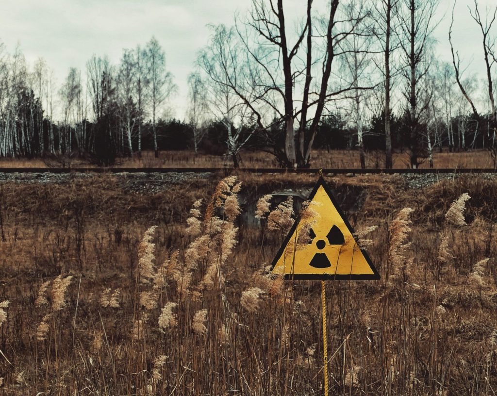 Foresta desertica di Chernobyl