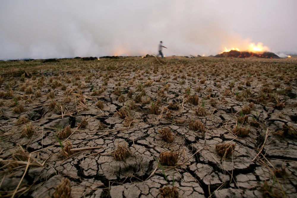 A parched field in the aftermath of prolonged drought and environmental stress in Egypt