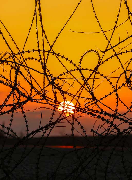 Immagine copertina della newsletter