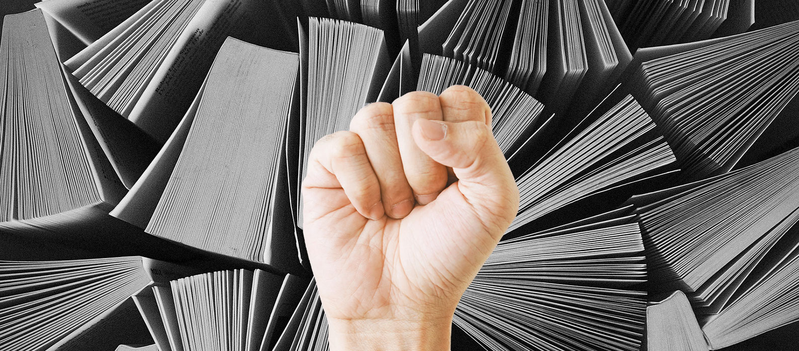 La democrazia si legge