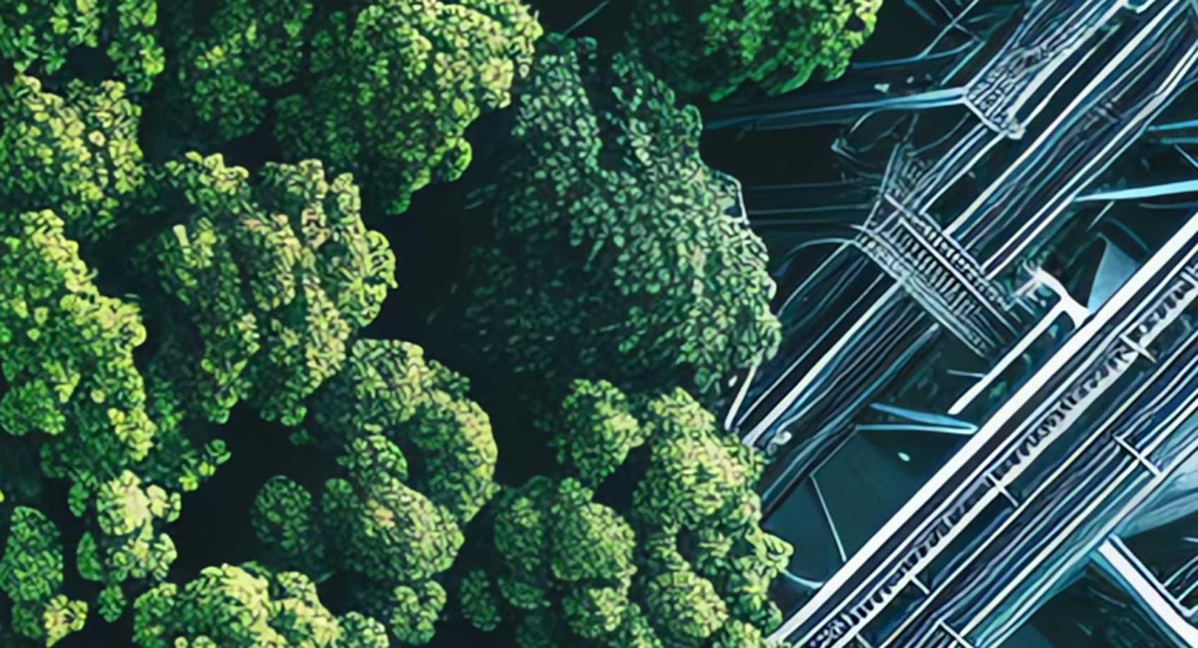 Alessandro Pansa Lecture – Verde speranza o verde di rabbia?