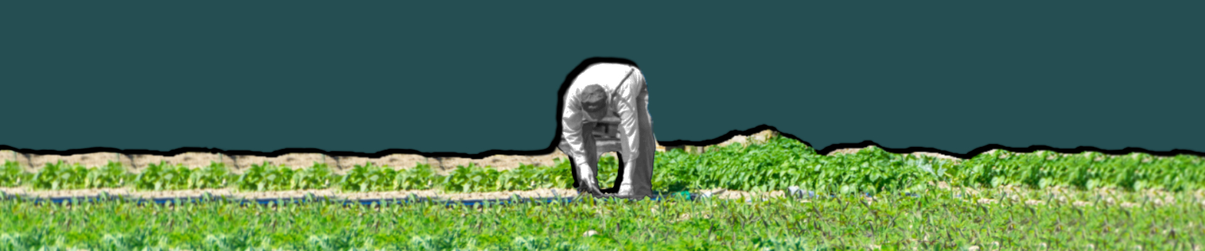 L’economia cooperativa che riduce le disuguaglianze