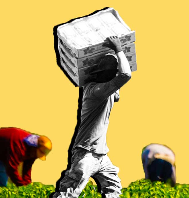 Il cibo amaro del capitalismo 