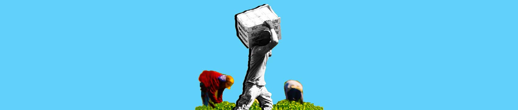 Il cibo amaro del capitalismo 