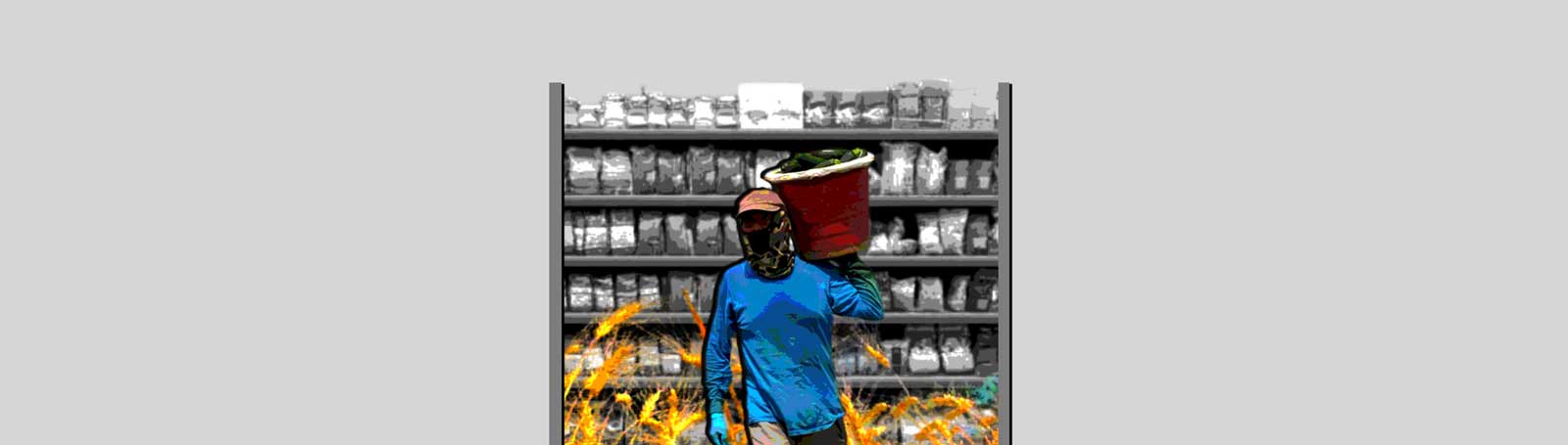 Dai campi agli scaffali: cosa nasconde il cibo che mangiamo