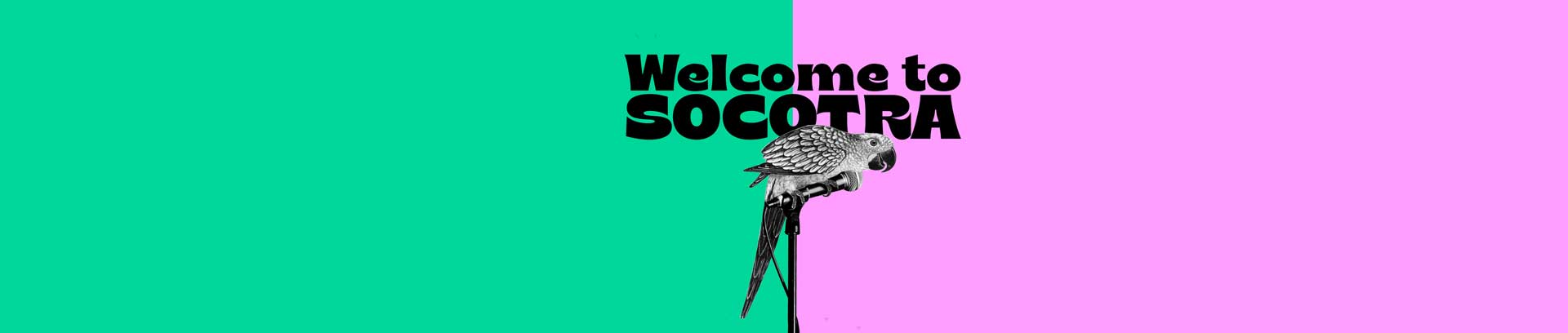 Welcome to Socotra 2026
