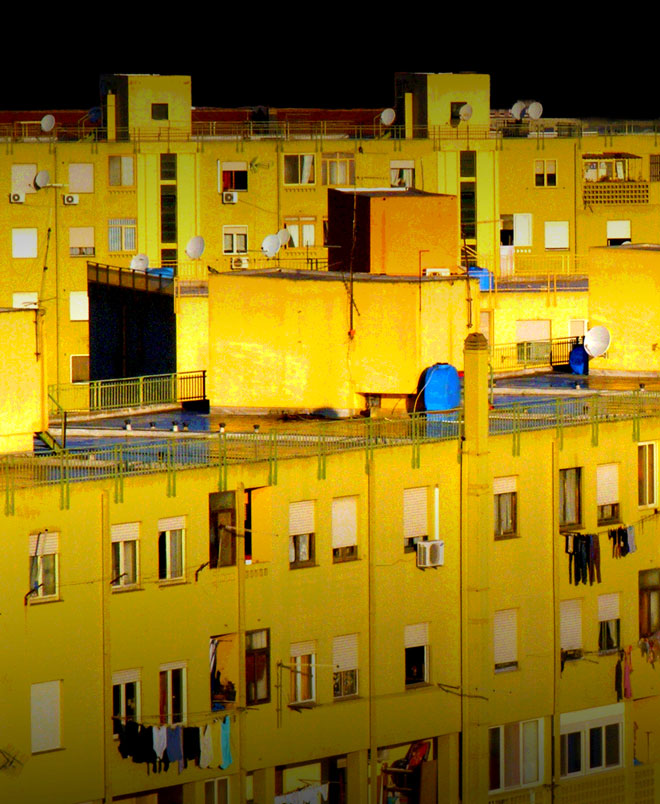 Immagine copertina della newsletter